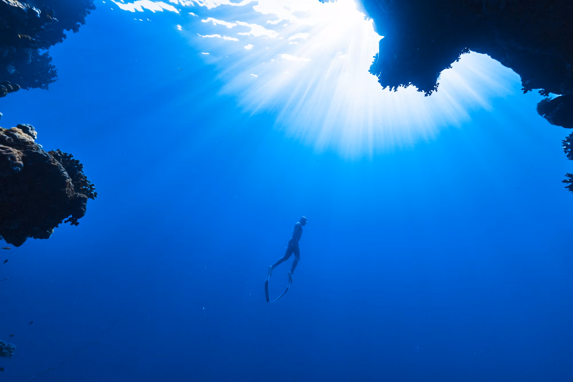 Diving into Adventure: A Comprehensive Guide to the World of Underwater Exploration Diving into Adventure: A Comprehensive Guide to the World of Underwater Exploration