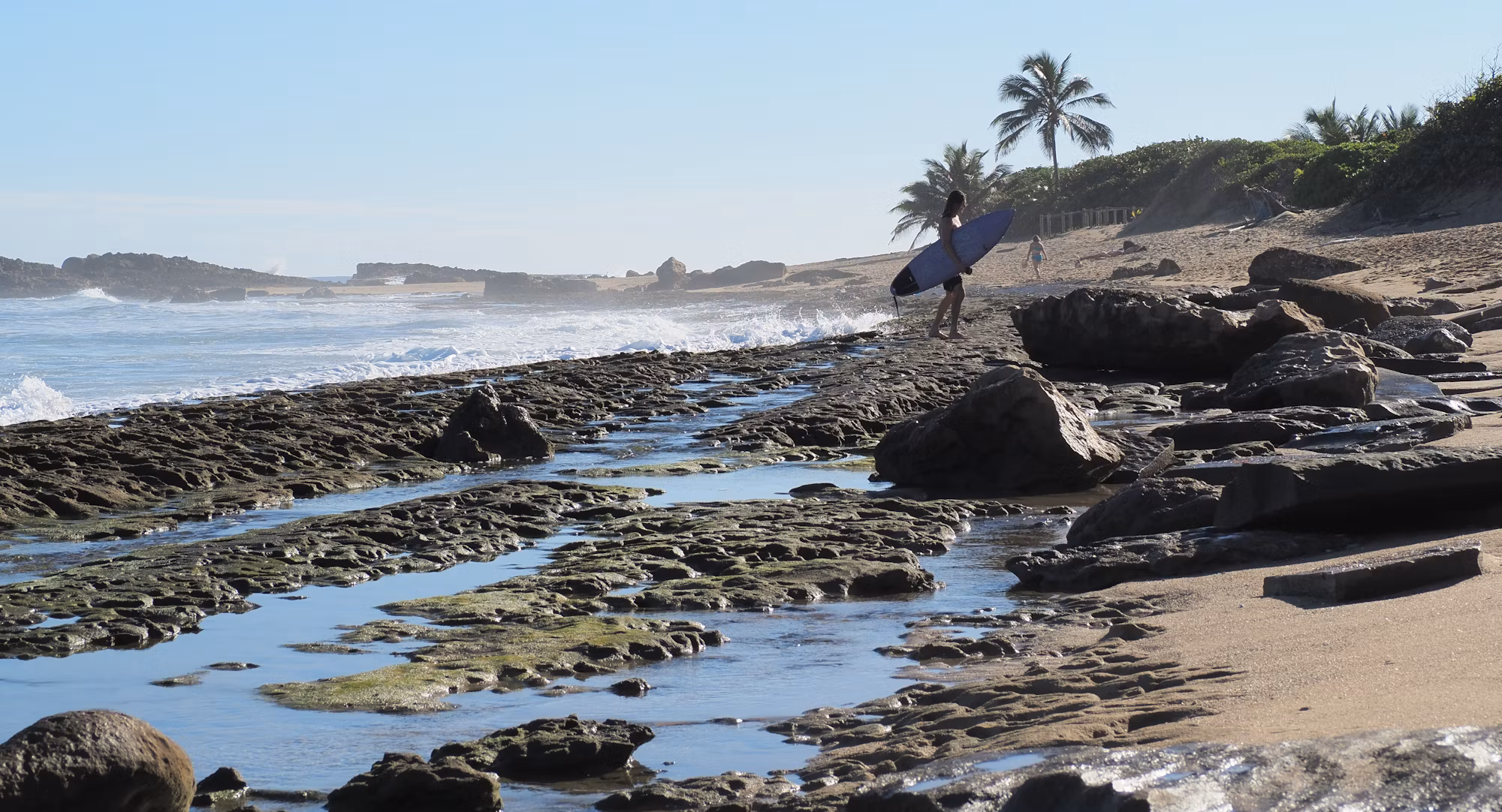 Exploring the Thrill of Water Sports: From Surfing to Skimboarding