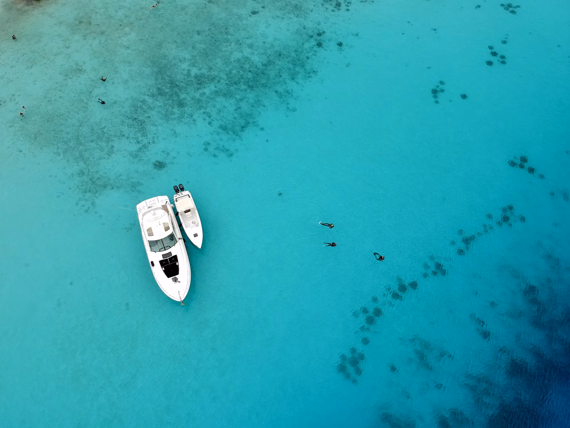 Dive into Adventure: Discovering the Many Faces of Diving